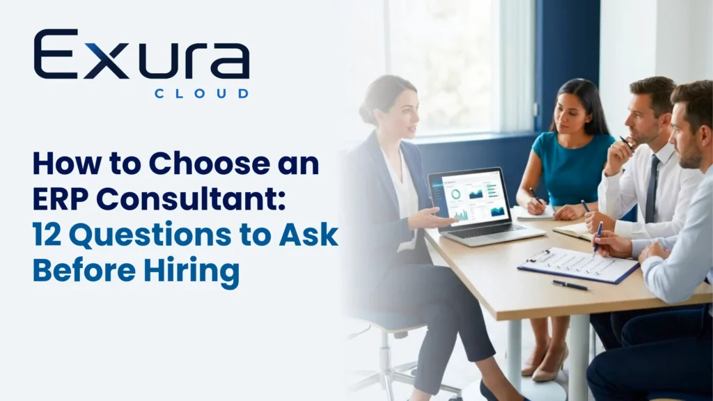 erp consultants