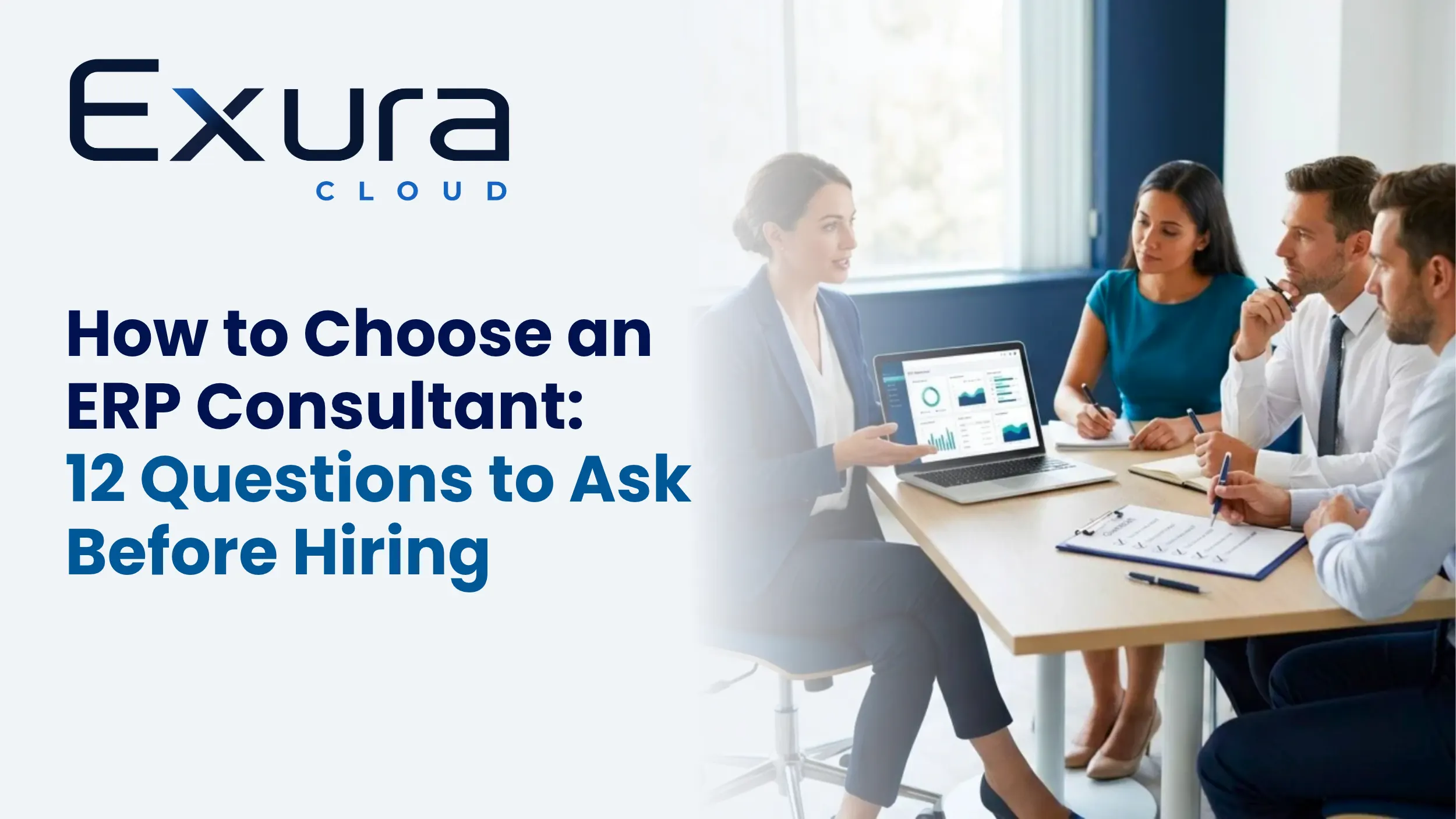 erp consultants